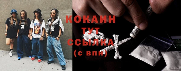 mdpv Няндома
