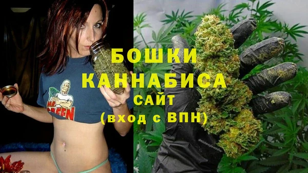 mdpv Няндома