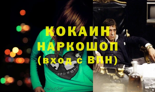 mdpv Няндома