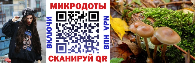 как найти закладки  Артёмовск  Псилоцибиновые грибы прущие грибы 